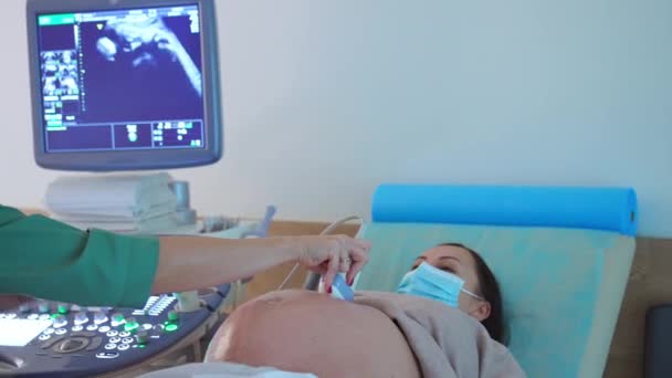Orvos Ellenőrzi Baba Fejlődését Ultrahangon Szülész Mozgatja Felszerelést Körül Nagy — Stock videók