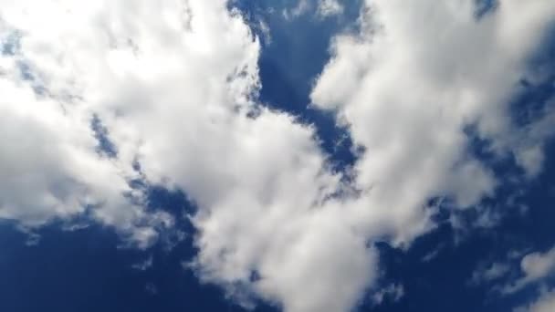 明るい青い夏の空は 雲がすばやく漂っている 風に吹かれて浮かぶ白い重い綿の雲 — ストック動画