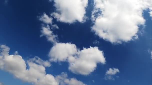 Vita Bomullsmoln Svävar Snabbt Himlen Blå Sommarhimmel Med Vackra Moln — Stockvideo
