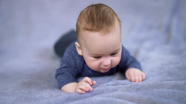 Καυκάσιος Μπλε Μπλούζα Που Αναπαύεται Μεγάλο Γκρι Καρό Αξιολάτρευτο Μωρό — Αρχείο Βίντεο