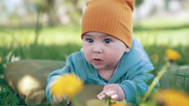 暖かいブレザーと帽子をかぶったかわいい赤ん坊の少年は 屋外の柔らかい枕の上に横たわっています 緑の草を見たり触ったりする美しい子供 — ストック動画