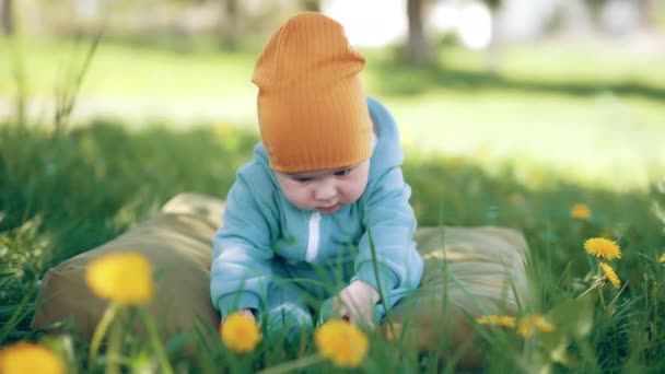 Malutkie Słodkie Dziecko Niebieskiej Czapce Pomarańczowy Siedzi Trawie Mały Maluch — Wideo stockowe