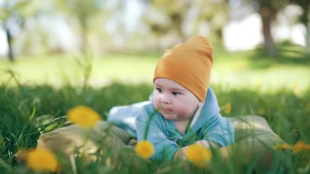 Uroczy Biały Chłopiec Ubrany Niebiesko Leży Trawie Słodkie Dziecko Patrzy — Wideo stockowe