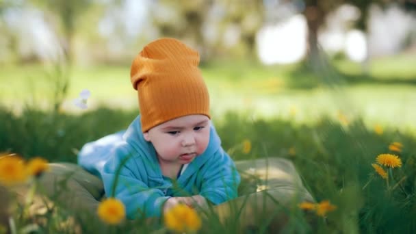 Spokojny Chłopiec Leży Trawie Patrząc Bokiem Białe Płatki Kwiatów Spadają — Wideo stockowe