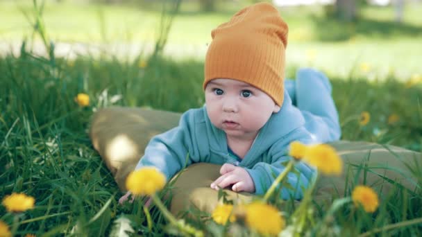 Söta Barn Ligger Madrassen Gräset Med Maskrosor Förtjusande Baby Tittar — Stockvideo