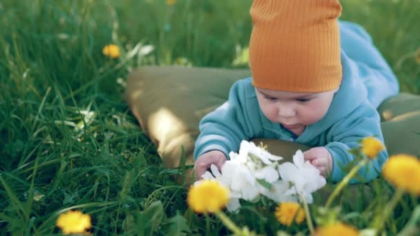잔디에 베개에 귀여운 아이는 꽃에주의 보인다 — 비디오