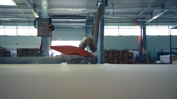 Kulatá Pila Pracující Pásovém Dopravníku Řezající Dřevěnou Desku Moderní Závod — Stock video