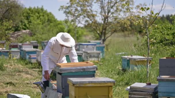 身穿白色防护服的养蜂人在蜂窝上弯腰 男人从蜂房中取出蜂蜜架 小心地提起 看着它 — 图库视频影像