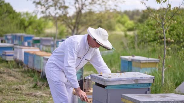 Apiarista Usando Terno Branco Trabalhando Sua Fazenda Abelhas Homem Segura — Vídeo de Stock