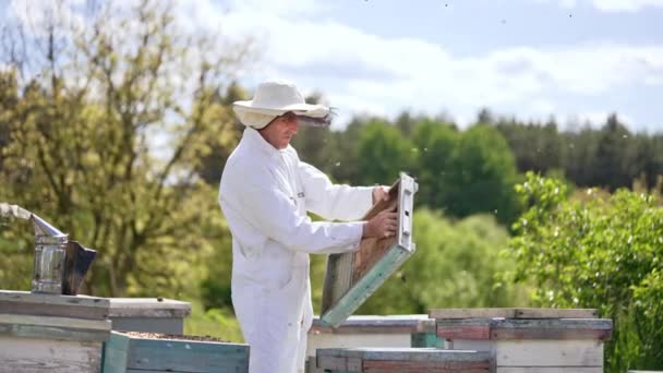 Apicultor Roupas Brancas Que Trabalham Sua Fazenda Abelhas Homem Trabalhando — Vídeo de Stock