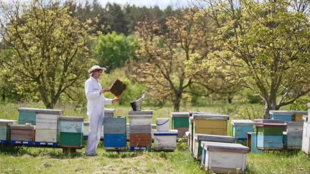 ハチ農場に ハチ農場の枠を抱えています 経験豊富な農家が庭の外で彼の養蜂家をチェック — ストック動画