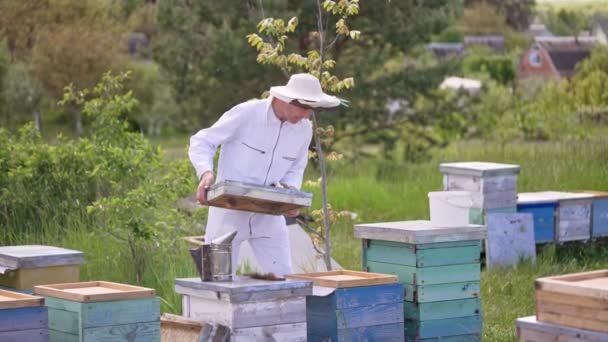身穿白衣戴白帽的围裙师打开蜂箱盖 人已经准备好检查他的蜂房了 自然模糊的背景 — 图库视频影像