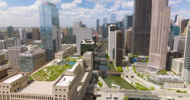 有许多桥穿过城市的河流 芝加哥摩天大楼中的无人机镜头 — 图库视频影像