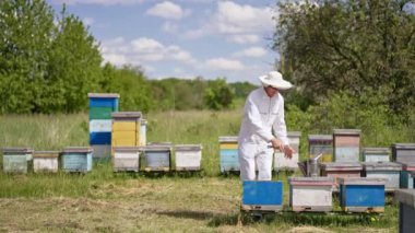 Resimli manzarada kırsal arı çiftliği. Arı yetiştiricisi gelip kontrol etmek için arı kovanına diz çöker..