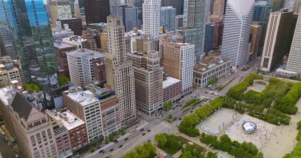 拥有云门雕塑的神奇千禧年公园 环绕绿地的极好的芝加哥建筑 — 图库视频影像