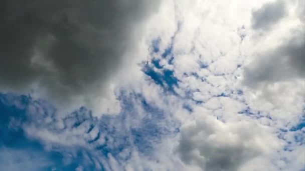 明るい青空に浮かぶカミュラス雲 白と灰色の雲が地平線を完全に覆っている タイムラプス — ストック動画