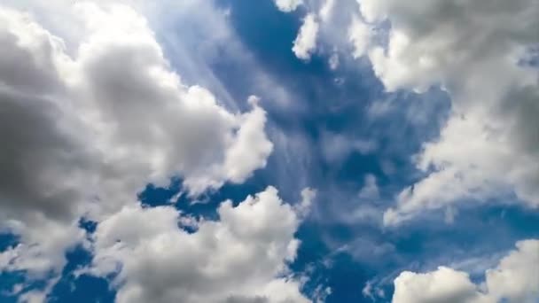 Baumwollwolken Sammeln Sich Himmel Zeitraffer Schöne Blaue Skyline Einem Fantastischen — Stockvideo