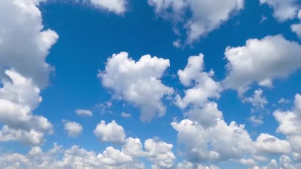 Чудові Кумули Бавовняні Хмари Рухаються Небом Тімелапсе Сонячний Яскравий День — стокове відео