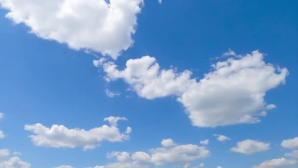 青いスカイラインのふわふわした小さな雲 夏の空に移動する雲の輝かしいタイムスケープ — ストック動画