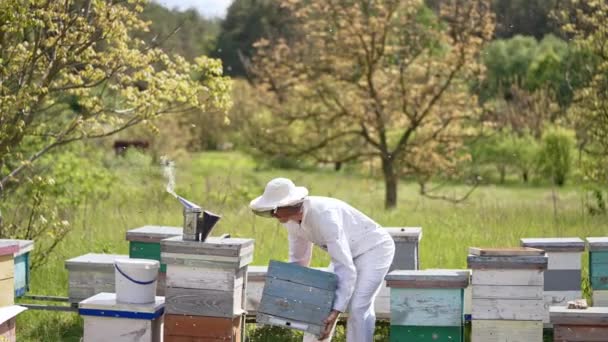 Замена Тяжелого Деревянного Улья Сельской Пасеке Пчеловод Белой Одежде Заботится — стоковое видео
