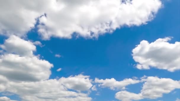 Baumwollwolken Strahlenden Sommerhimmel Kleine Wolken Die Sich Einer Großen Wolkenlandschaft — Stockvideo