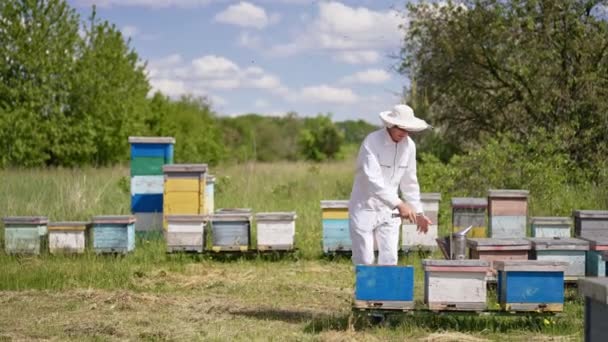 在风景秀丽的乡村养蜂场里 养蜂人过来 跪在蜂窝前检查 — 图库视频影像