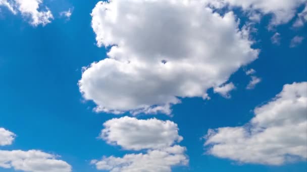 蔚蓝的天空 云彩快速变换着形状 从下面俯瞰美丽的云彩景观 — 图库视频影像