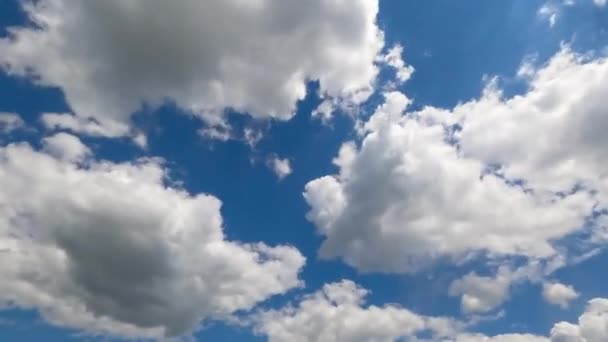 Wolkenkratzer Blauen Himmel Weiche Geschwollene Wolken Fliegen Schnell Niedrige Perspektive — Stockvideo