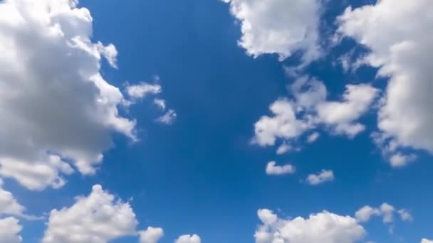 空を飛んでいる白い光の柔らかい雲 晴れた日の背景 ローアングルビュー タイムラプス — ストック動画