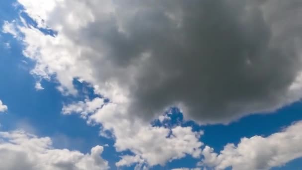 Sonnenbeschienene Weiße Wolken Blauen Himmel Sonniger Tag Niedriger Blickwinkel Zeitraffer — Stockvideo