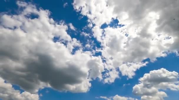 大气中的云彩形成 白毛云轻柔地在天空中移动 太阳在云彩之上闪烁着美丽的光芒 这些都是令人惊奇的时光 — 图库视频影像