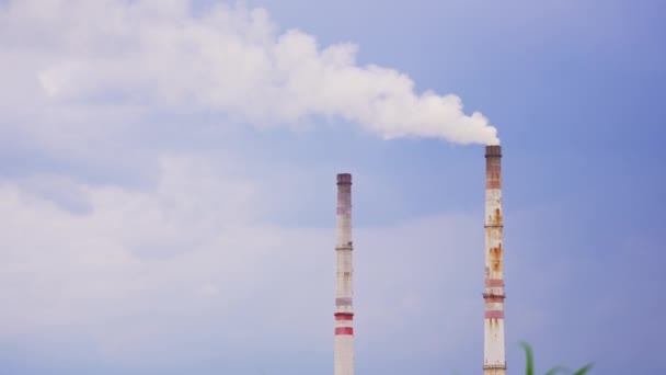 Växtrör Som Producerar Vit Rök Luften Industriell Rökförorenande Atmosfär Blå — Stockvideo
