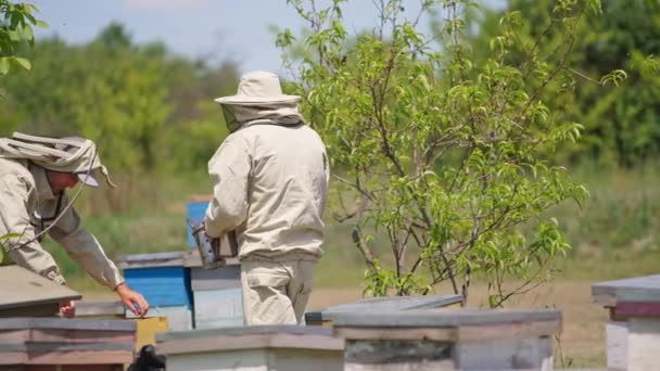 Dwóch Pszczelarzy Opiekujących Się Farmą Mężczyźni Pochyleni Nad Ulem Używając — Wideo stockowe