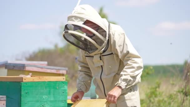 Dospělý Včelař Přidá Dřevěnému Úlu Prázdné Rámy Kolem Včelaře Rojí — Stock video
