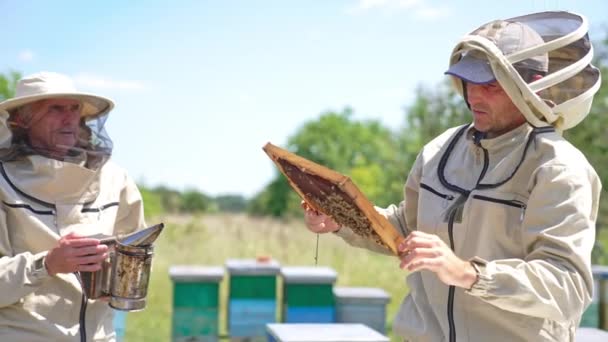 Pair Professional Farmers Working Apiary Specialist Checking Frames Bees Using — Stock Video