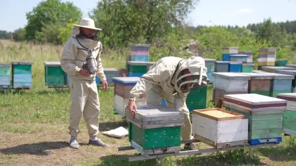 Apiculturist Arı Kovanlarıyla Ilgilenir Arılardan Korkmazlar Yaşlı Arı Yetiştiricisinin Arkasında — Stok video
