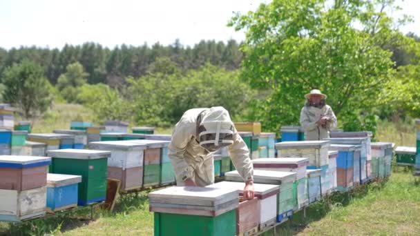 Пчеловоды Работают Большой Сельской Пчеловодческой Ферме Мужчины Защитных Костюмах Шляпах — стоковое видео