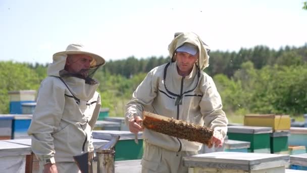 Včelaři Dívají Medový Rámeček Který Tom Diskutuje Soustředění Muži Kontrolují — Stock video