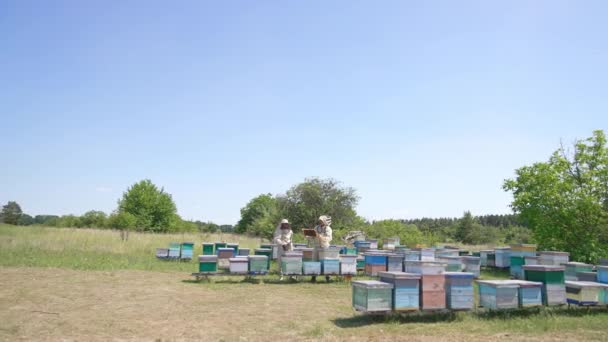 接近两个在养蜂场工作的男人养蜂人看着被蜜蜂覆盖的框架 晴天背景 — 图库视频影像