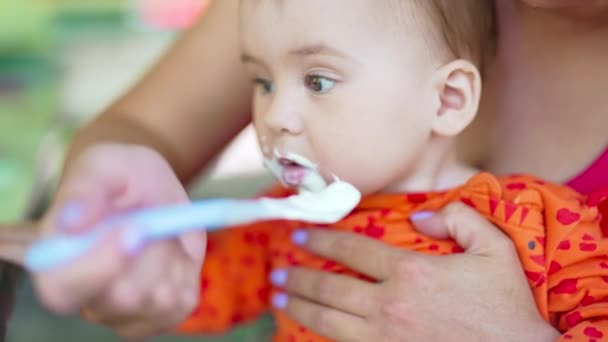 Beautiful Child Being Fed Spoon Little Toddler Eating Dairy Food — Stock Video