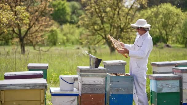 身穿白衣戴防护帽的男性养蜂人从蜂窝中取出框架 烟是从木制蜂窝上的一个吸烟者身上冒出来的 背景色朦胧的花园 — 图库视频影像