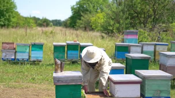 Male Adult Apiarist Takes Wooden Box Carries Another Place Bee — Stock Video