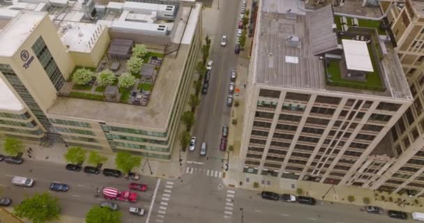 Úžasné Střechy Chicagských Budov Zelenými Salonky Střechách Obytná Oblast Dne — Stock video