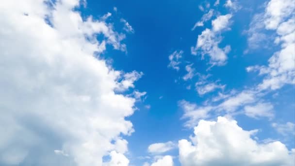 ドラマチックな雲で驚くほど青い空 空を流れるふわふわした柔らかい雲 タイムラプス 下からの眺め — ストック動画