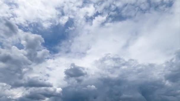乌云笼罩了整个天空 云彩聚积 形成雨戏剧性的云雾景观 时间过去了低角度视图 — 图库视频影像