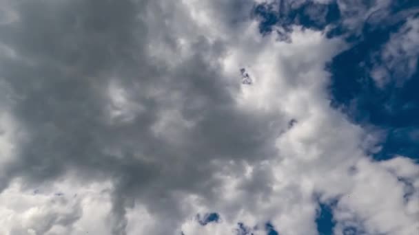 グレーの雲が急速に変化する 暗い青空の背景にあるパフィの柔らかい雲 低角度からのタイムラプス — ストック動画