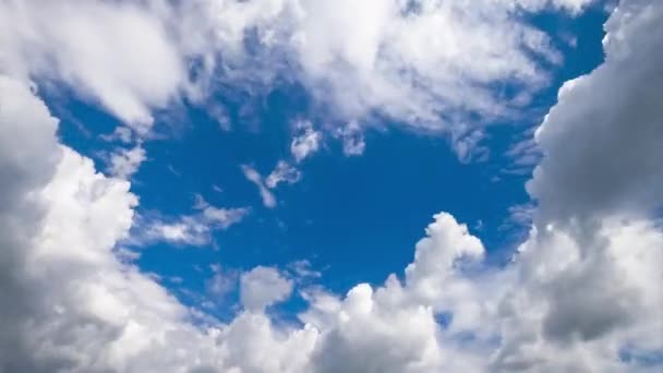 Nubes Cúmulos Esponjosos Blancos Que Cambian Rápidamente Forma Los Cielos — Vídeo de stock