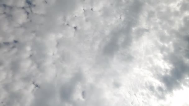 积云在天空中筑起 云彩几乎完全笼罩了地平线 从下面的视角看过去的镜头 — 图库视频影像