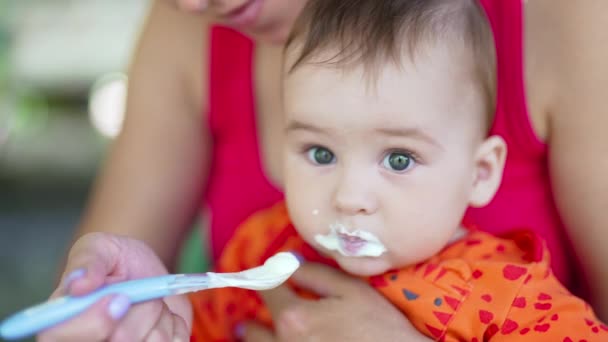 Bebê Bonito Sentado Nas Voltas Mãe Sendo Alimentado Partir Colher — Vídeo de Stock