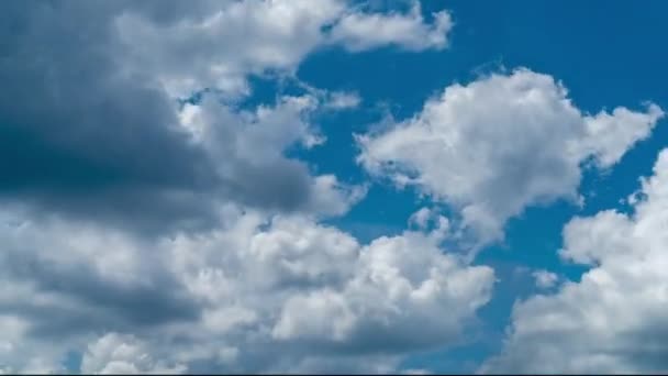 白い柔らかい雲はすぐに灰色の雲に変わります 青空のタイムラプスで雨雲の形成 下からの眺め — ストック動画